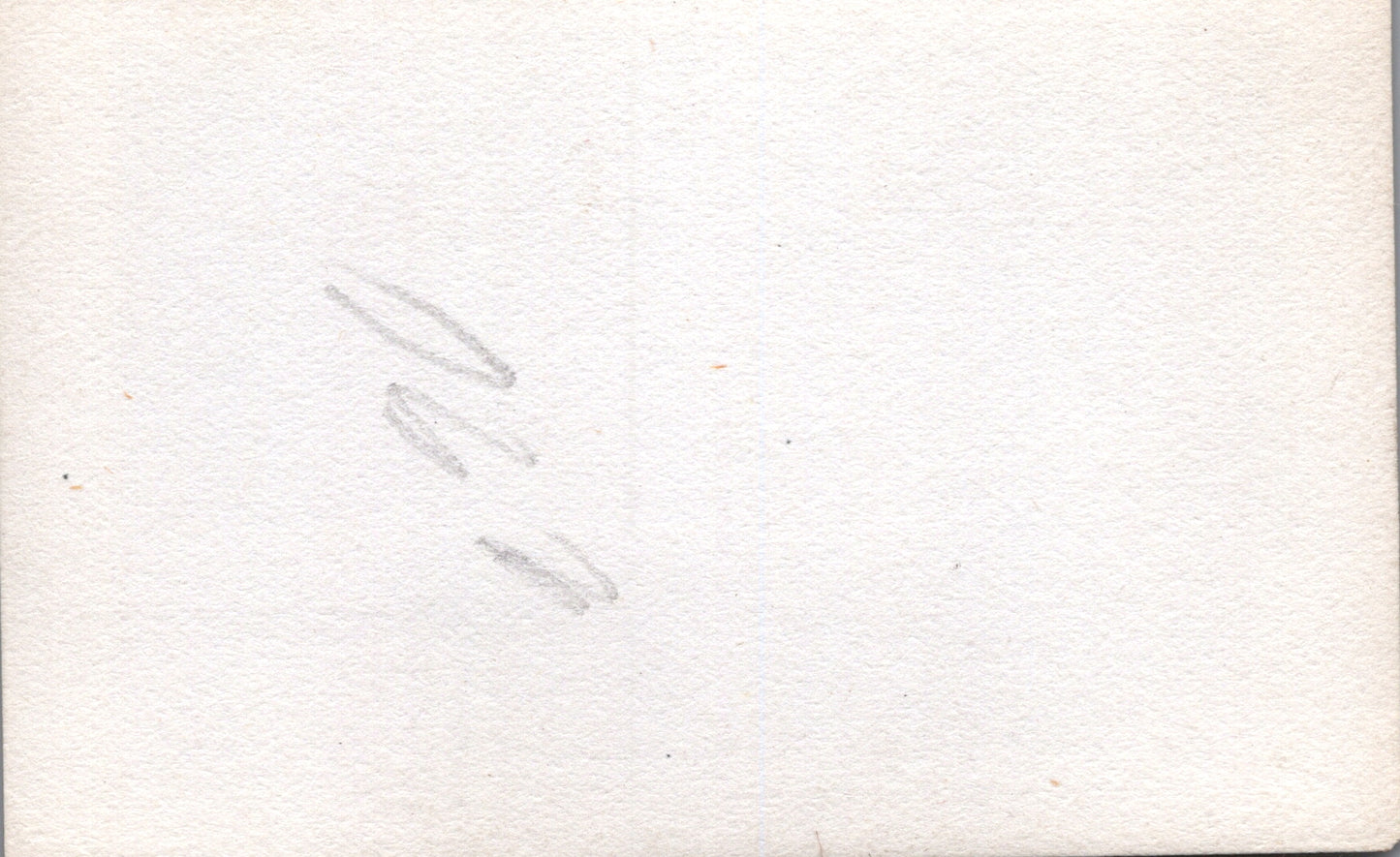 petite photo mitrailleuse saint Etienne avec cavaliers comme servants 1914-18 65 x 45 mm