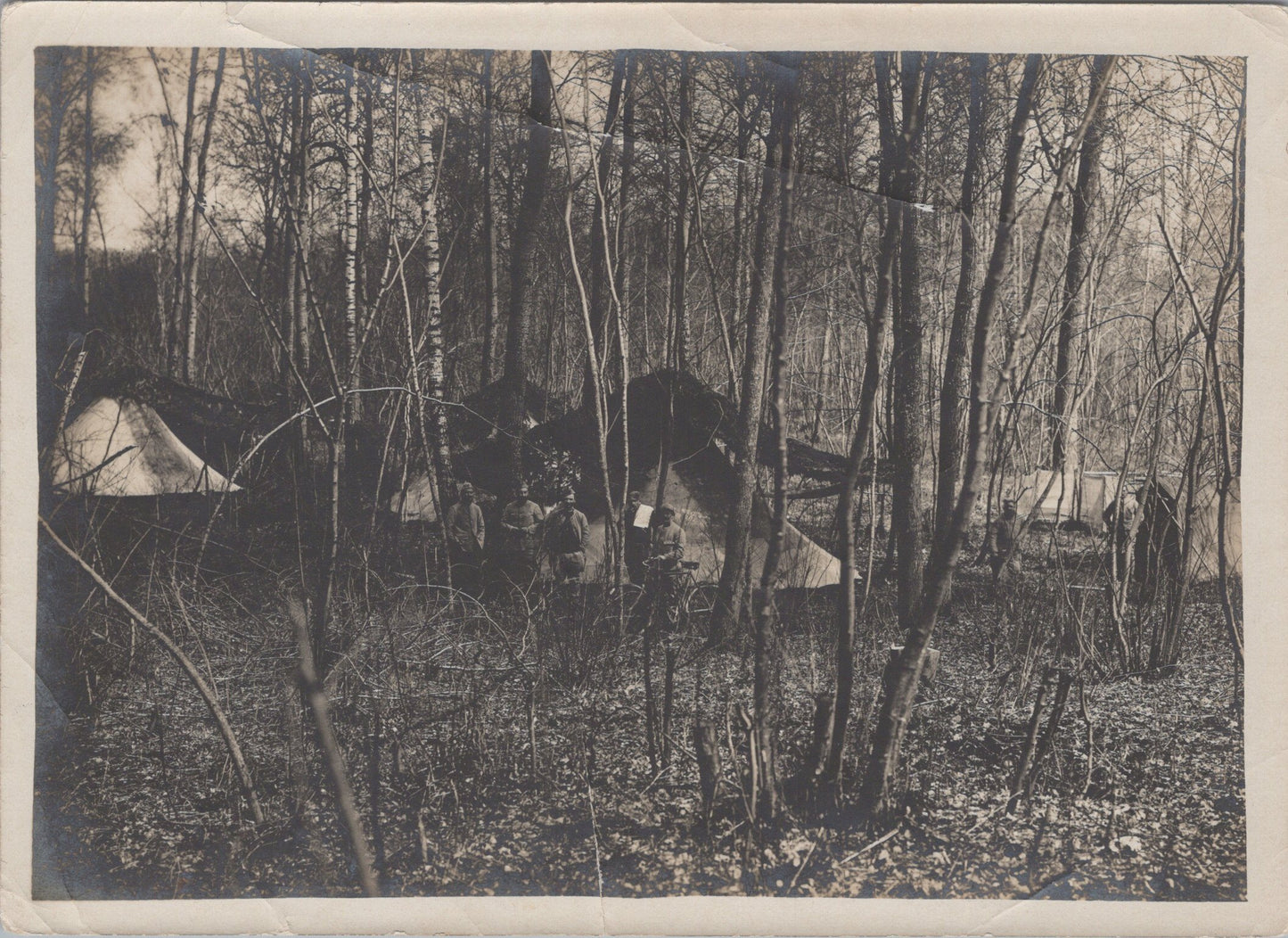 grande photo campement français dans un sous bois 14-18 18x13 cm