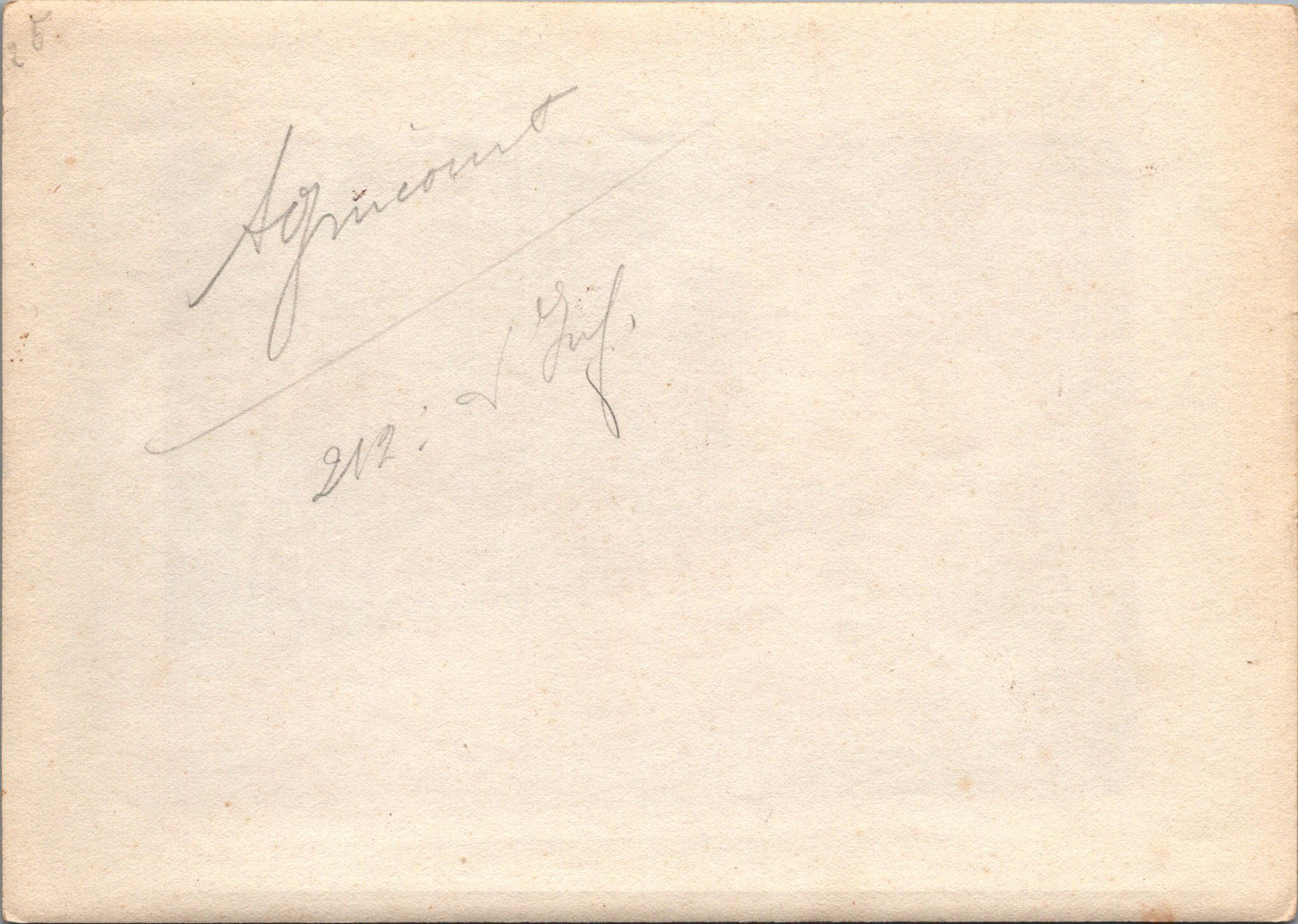 grande photo Agincourt 212°RI Meurthe et Moselle 1914-18 17x12 cm