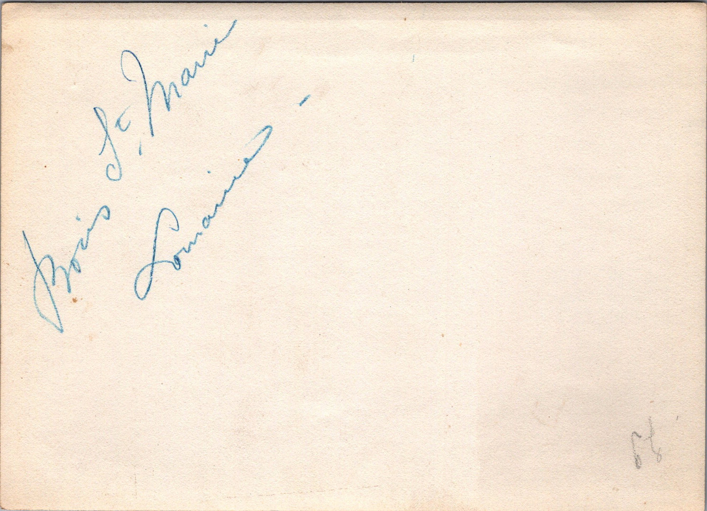 grande photo bois Sainte Marie Lorraine abri 1914-18 17x12 cm