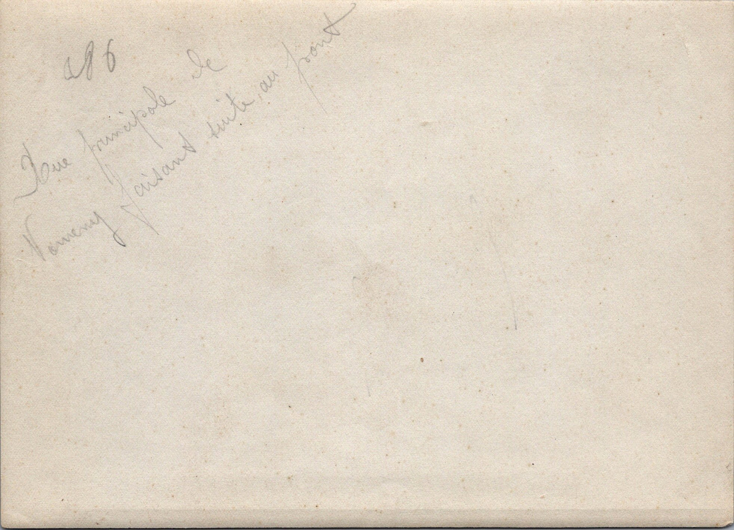 grande photo Nomeny rue principale Meurthe et Moselle 1914-18 17x12 cm