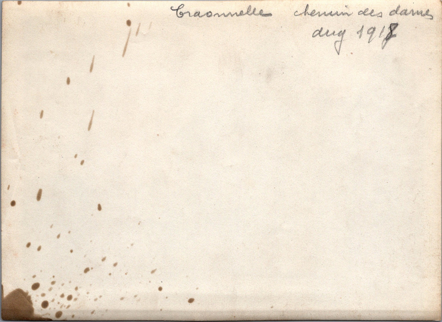 grande photo Craonnelle aout 17 Chemin des Dames 1914-18 17x12 cm