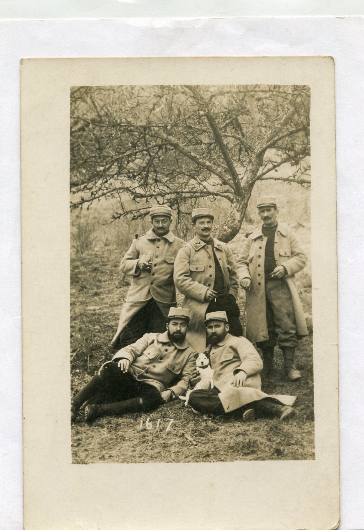 carte photo poilus du 44°RI capote poiret 1914-1918