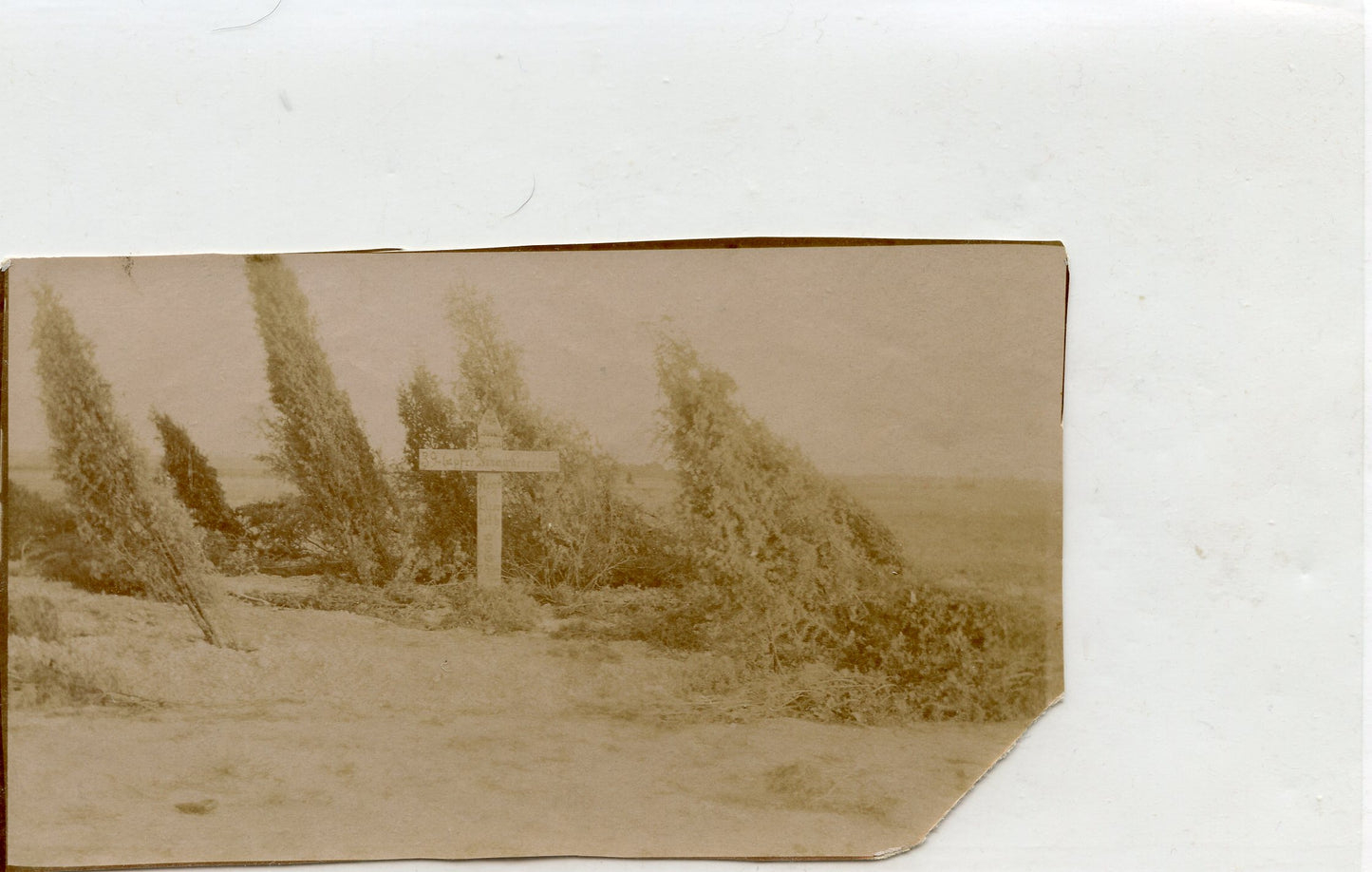 photo d'une tombe de 39 grenadiers allemands en 1914, Sommesous, 14-18 10 x 6,5 cm