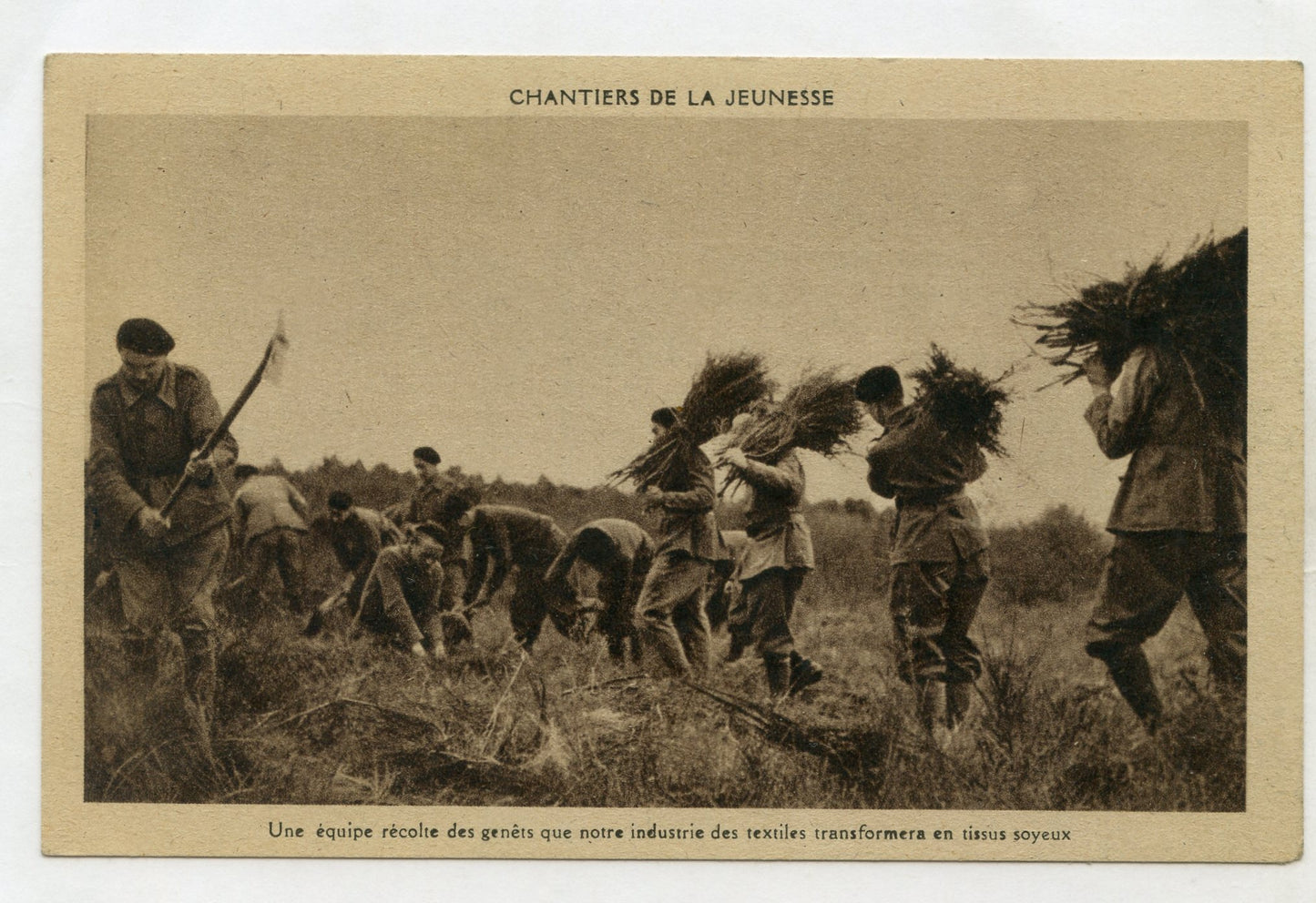 carte postale chantiers de jeunesse pré imprimée récolte de genets