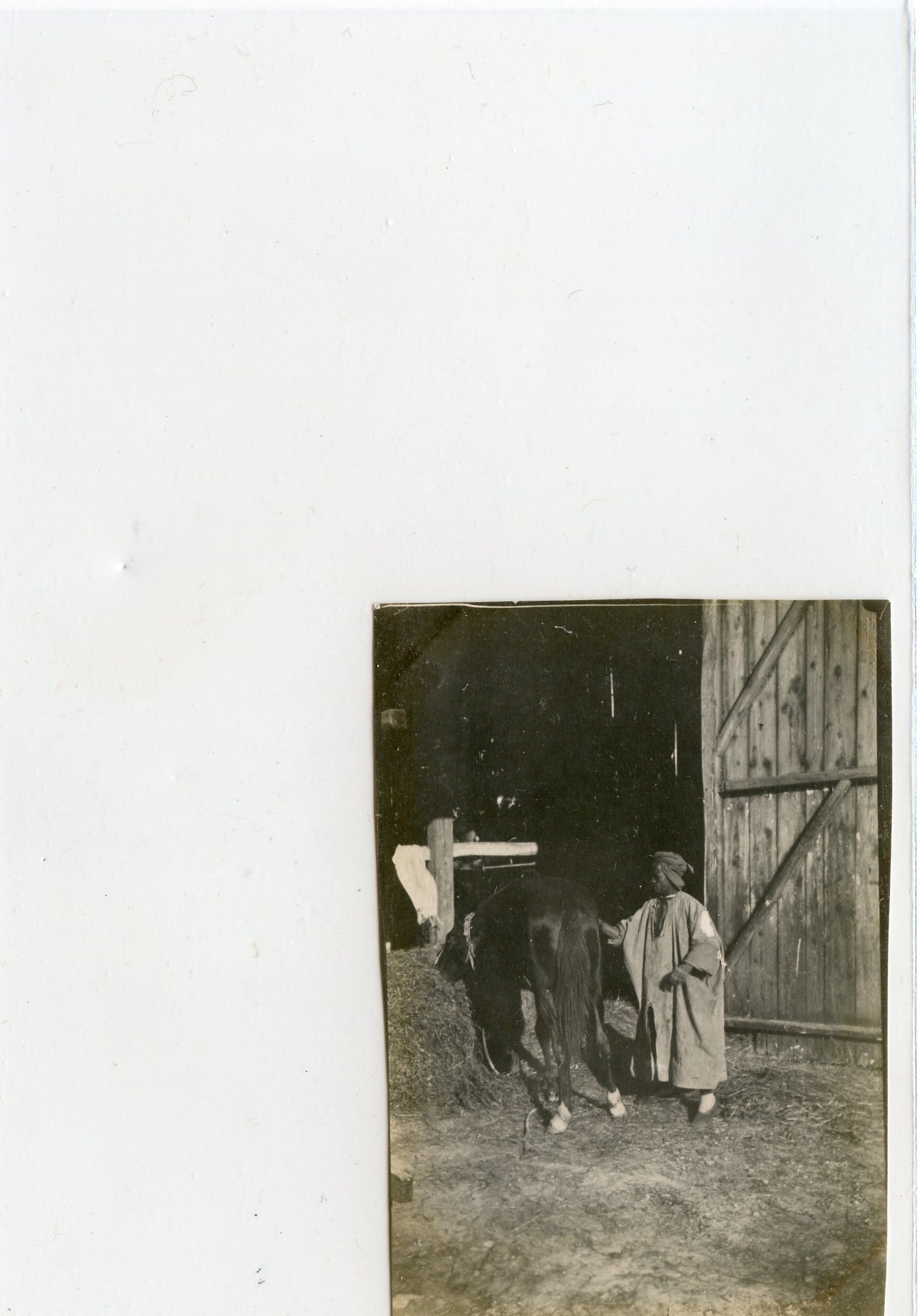 photo Champagne, spahi avec son cheval cavalerie 8x5,5 cm 1915