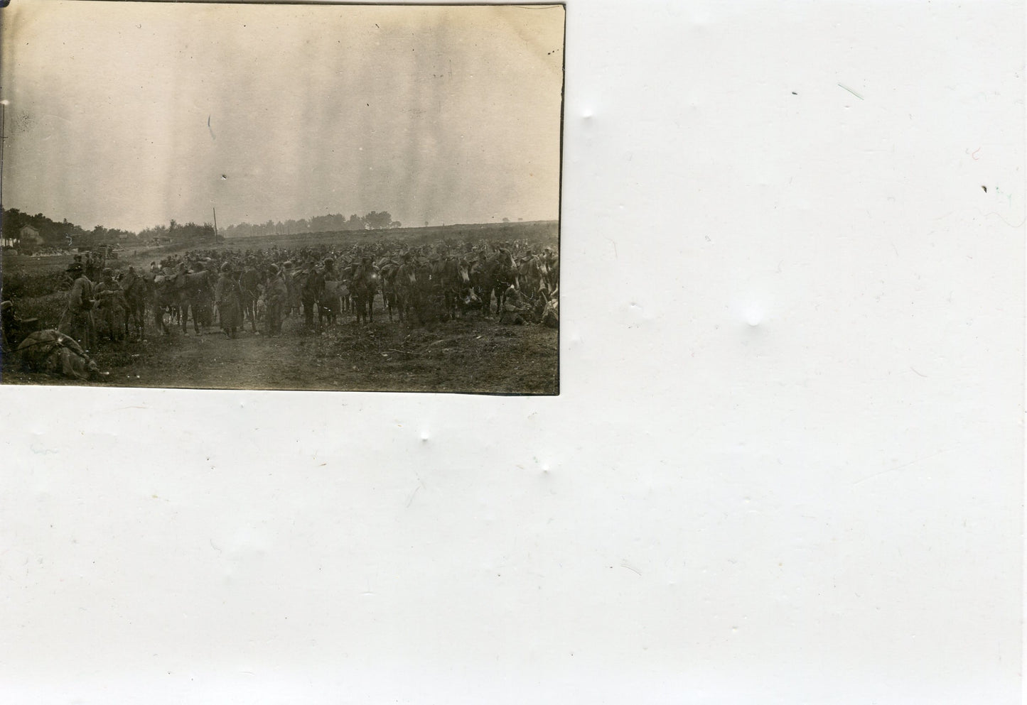 photo Champagne, les troupes d'Afrique cavalerie 8x5,5 cm 1915