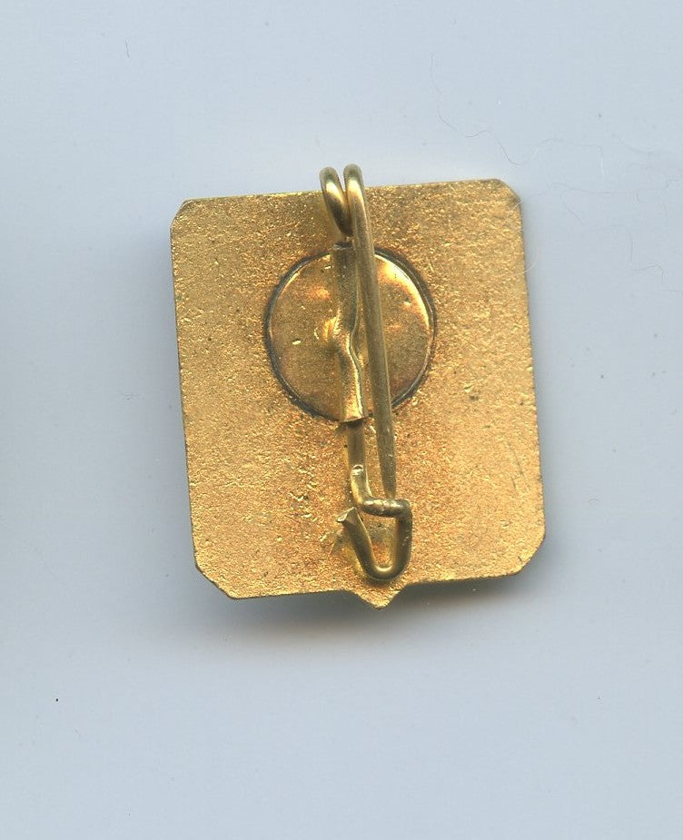 insigne réduction de boutonnière 10°régiment du génie émail