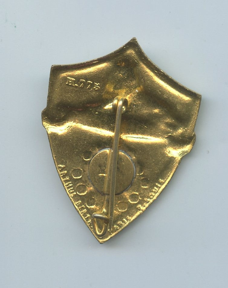 insigne 54° bataillon Médical service de santé