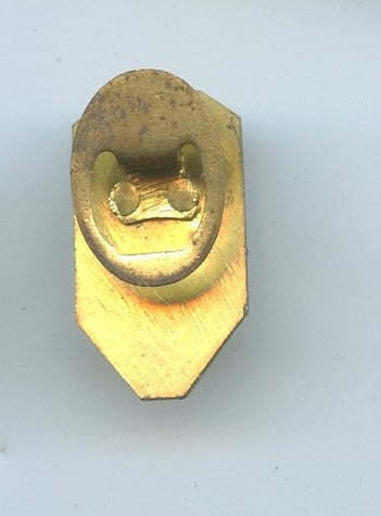 insigne de boutonnière GNRM résistance 1939-45