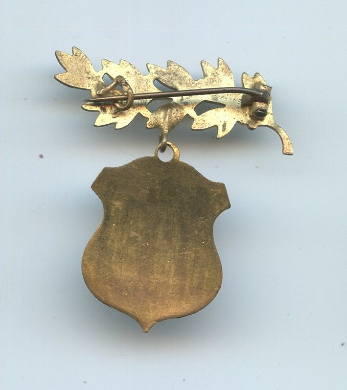 insigne anciens combattants du 227ème régiment d'infanterie 1914-18 25x20mm sans la palme