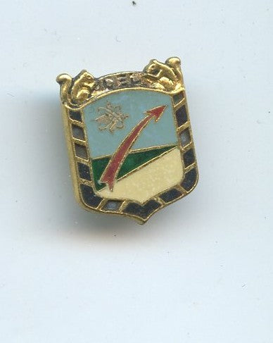 insigne réduction centre d'essai des Landes artillerie Drago 29mm