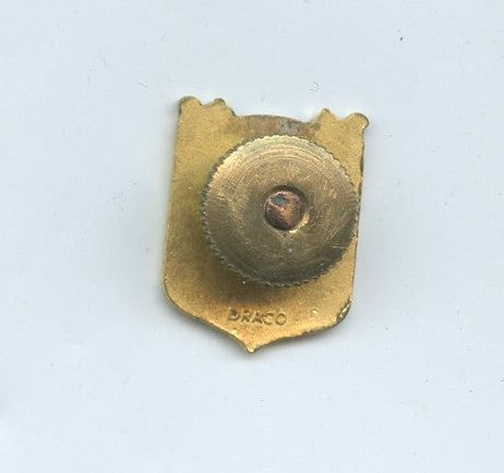 insigne réduction centre d'essai des Landes artillerie Drago 29mm