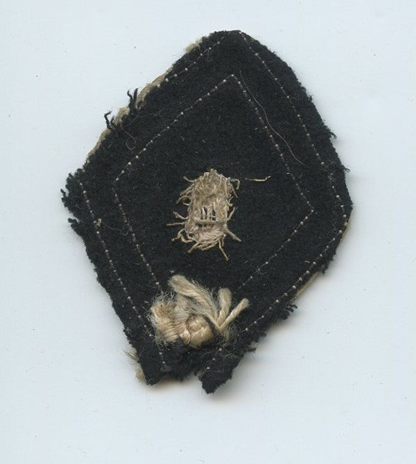 losange très précoce du 8° dragons certainement 1944-45