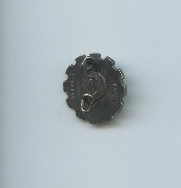 Train : insigne réduction CIT 154, Drago paris 19 mm