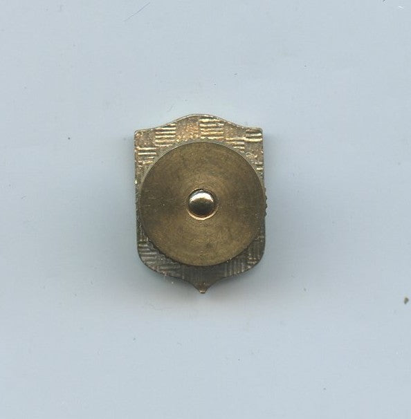 anciens combattants : insigne réduction anciens Rhénanie Ruhr Tyrol, Drago, 17 x 13 mm
