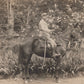 carte photo d'un cavalier équipé 5 au col 1914-18