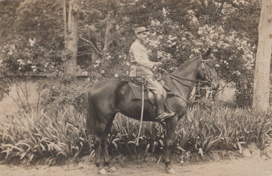 carte photo d'un cavalier équipé 5 au col 1914-18