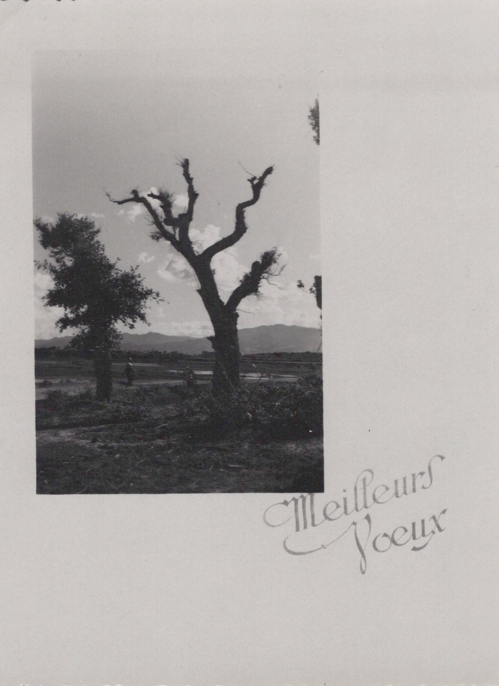 série de 4 cartes de vœux d'Indochine 1945-54