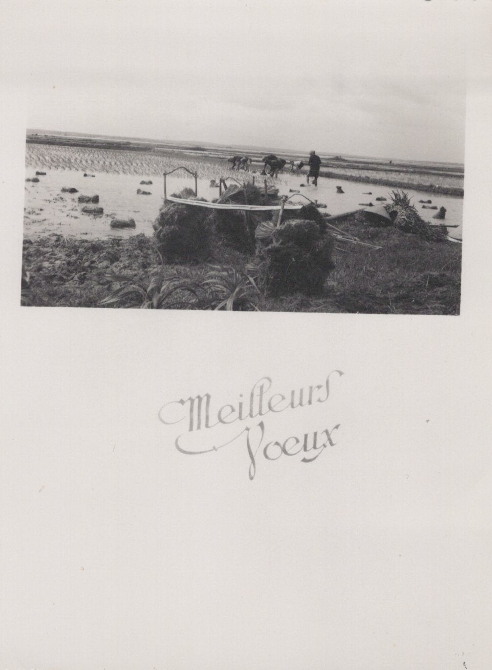 série de 4 cartes de vœux d'Indochine 1945-54