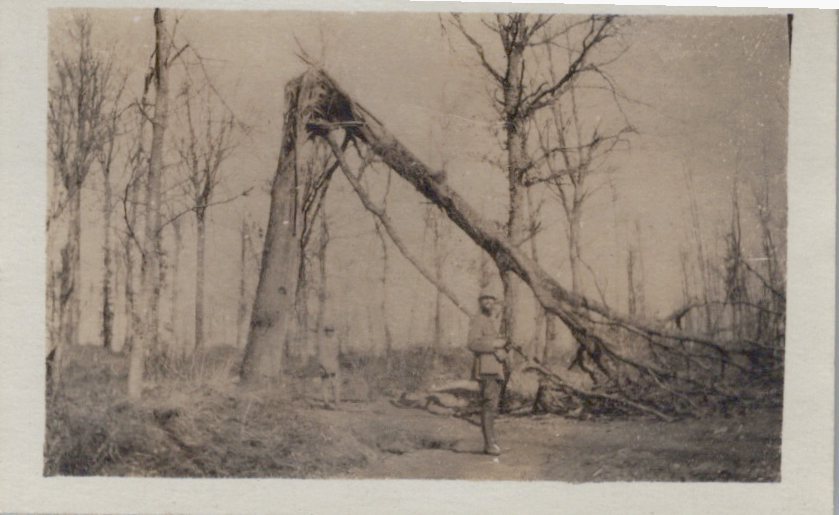 série de 10 photos de petit format 1914-1918, Champagne