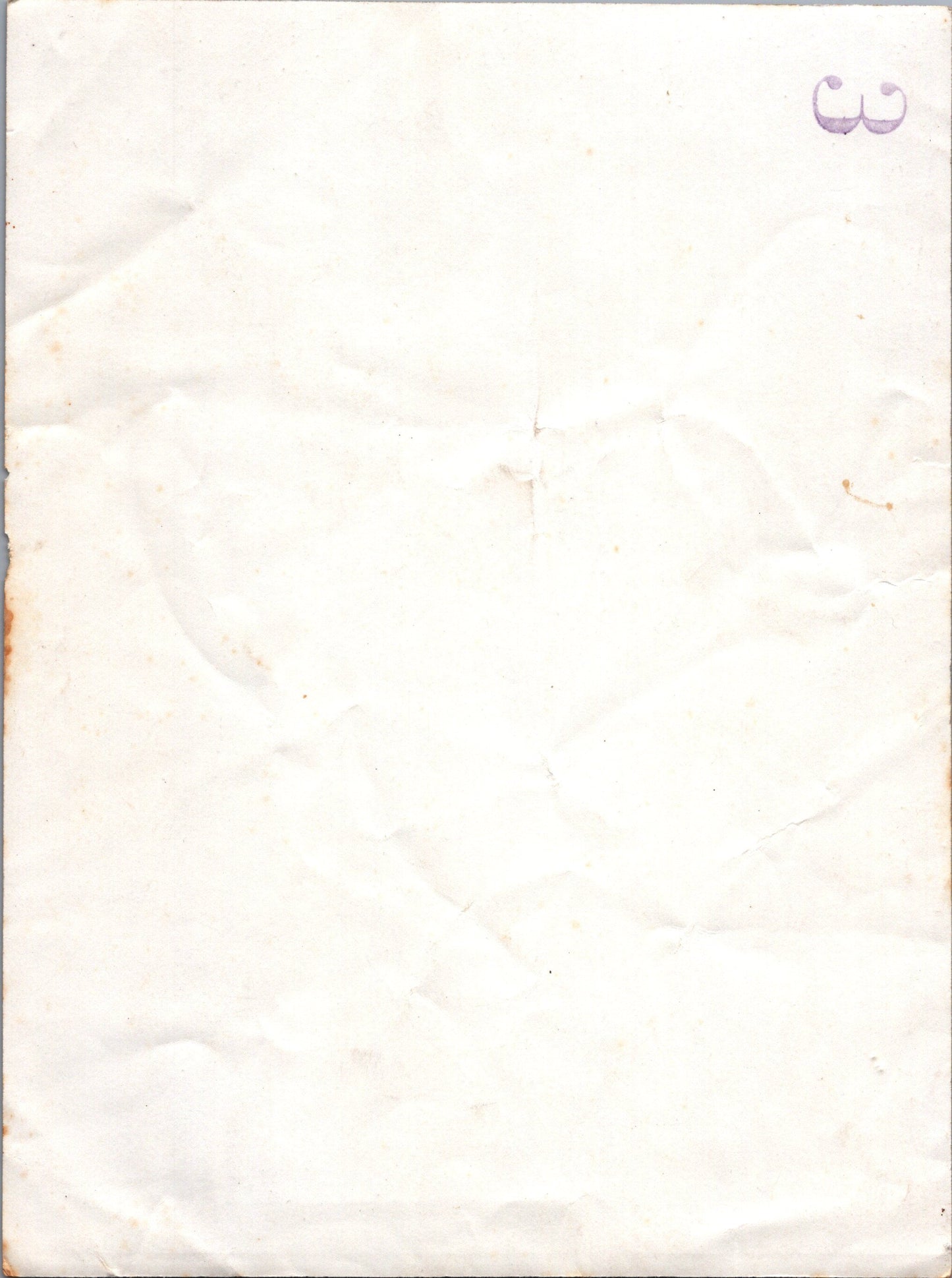 grande photo des compagnons de France 1940-44, Vichy, Etat Français, 23x17 cm