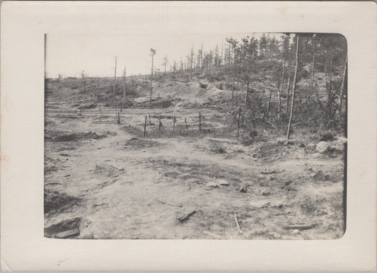 2 grandes photos positions de combat et tranchée 14-18 18x13 cm