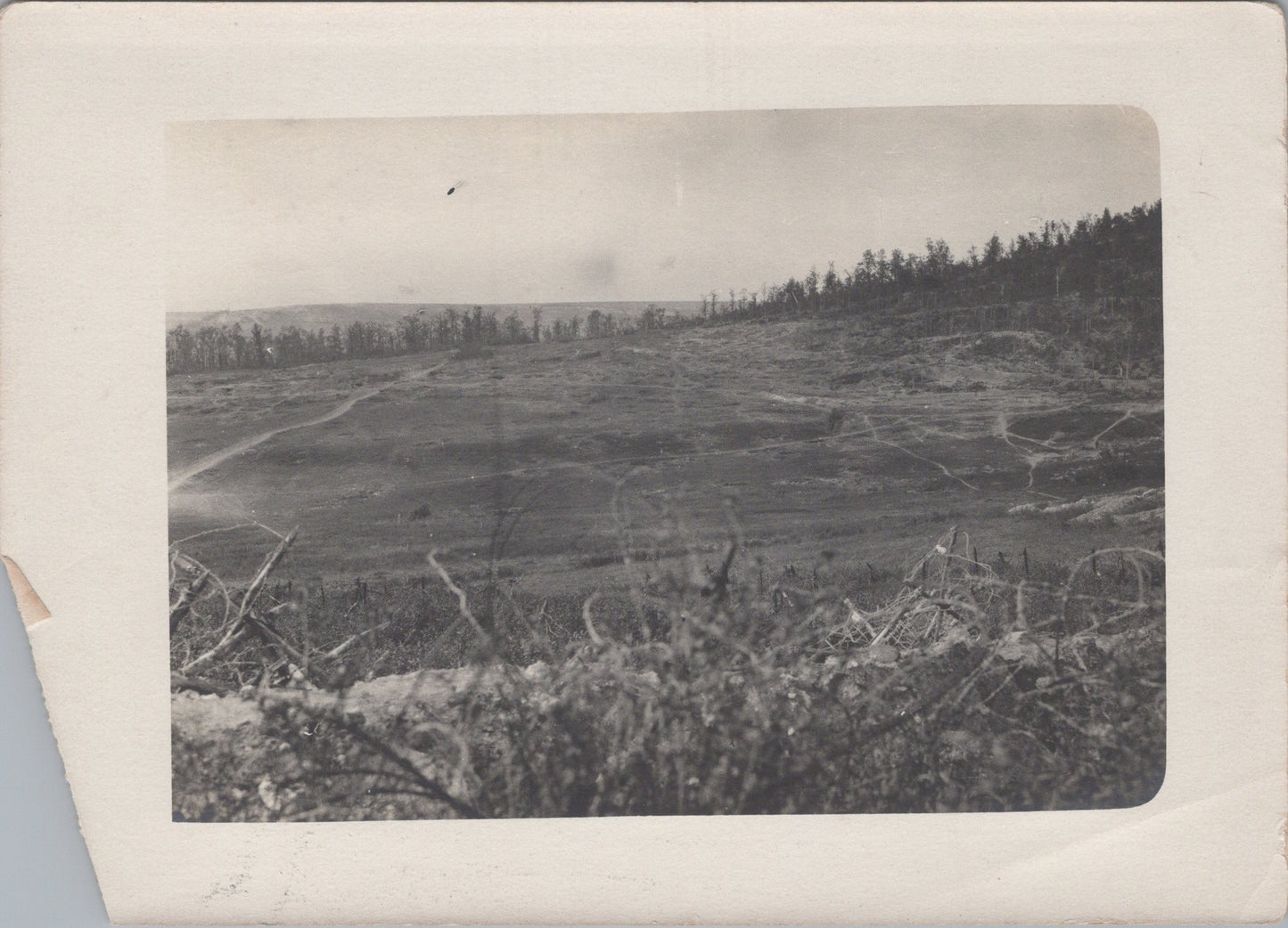 2 grandes photos positions de combat et tranchée 14-18 18x13 cm