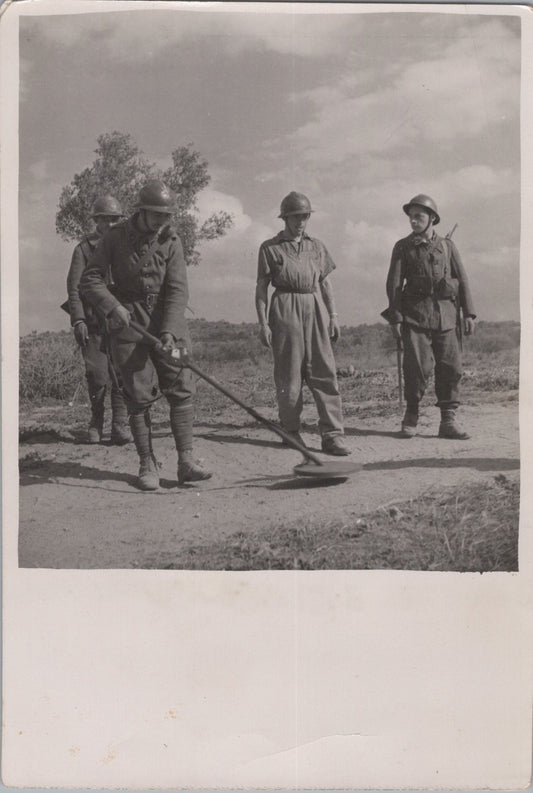 grande photo sapeur du génie au déminage campagne de Tunisie 1943 17x12 cm