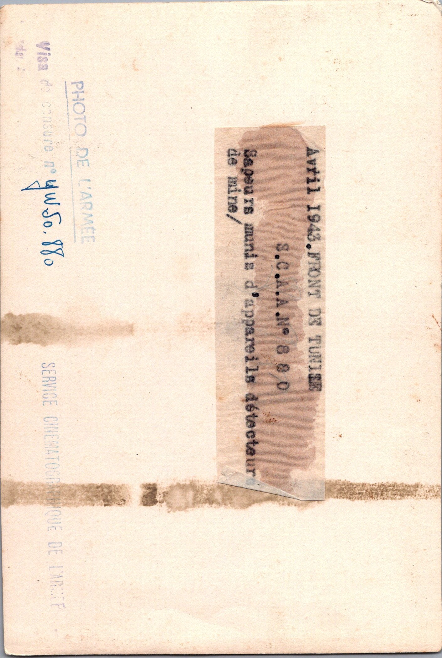 grande photo sapeur du génie au déminage campagne de Tunisie 1943 17x12 cm