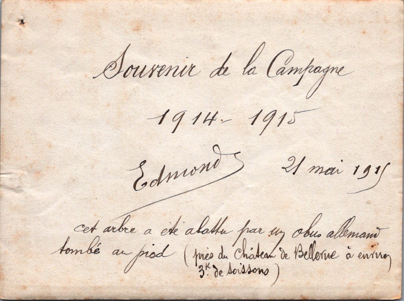 photo arbre abattu par obus allemand 3KM de Soissons 1915 12x9 cm