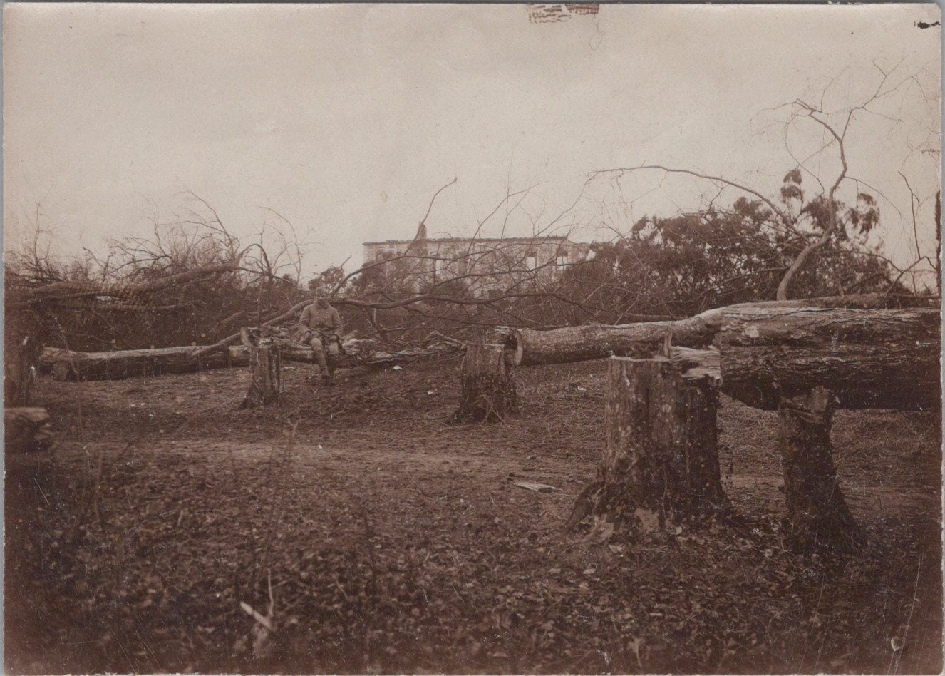 photo arbres coupés retraite allemande Aisne 1917 11x8 cm