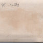 photo canon de 75 détruit Vailly Chemin des Dames 1917 9x6,5 cm