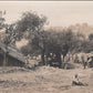 grande photo campement Brabant en Argonne 1914-18 17x12 cm