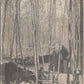 grande photo bois Sainte Marie Lorraine abri 1914-18 17x12 cm