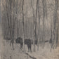 grande photo bois Sainte Marie Lorraine 1914-18 17x12 cm