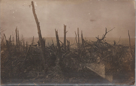 carte photo bois des Dames,  Chemin des Dames 1914-1918