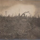 carte photo bois des Dames,  Chemin des Dames 1914-1918 (2)