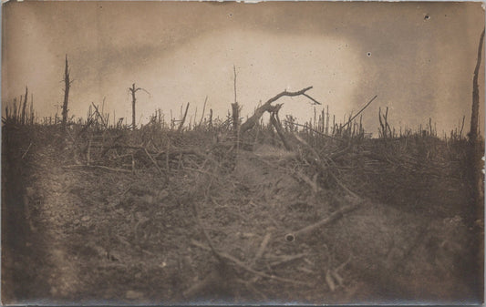 carte photo bois des Dames,  Chemin des Dames 1914-1918 (2)