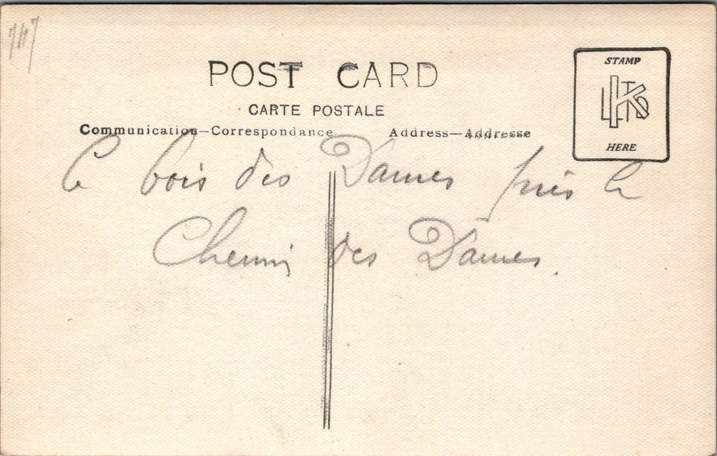 carte photo bois des Dames,  Chemin des Dames 1914-1918 (2)