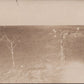 carte photo près d'Ostel Chemin des Dames 1914-1918