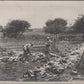 grande photo identification des corps français et Boches Reims juillet 1918 1914-18 17x12 cm