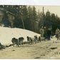 carte photo des traineaux de chiens d'Alaska Vosges chasseurs 1914-1918