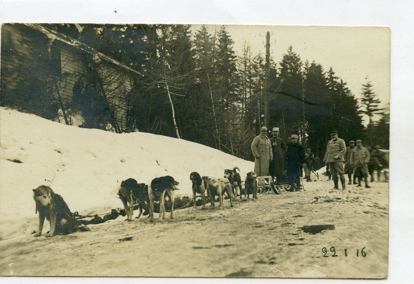 carte photo des traineaux de chiens d'Alaska Vosges chasseurs 1914-1918