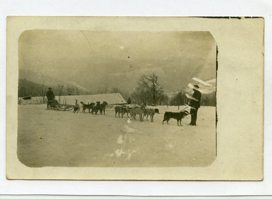 carte photo des traineaux de chiens d'Alaska Vosges chasseurs 1914-1918 3