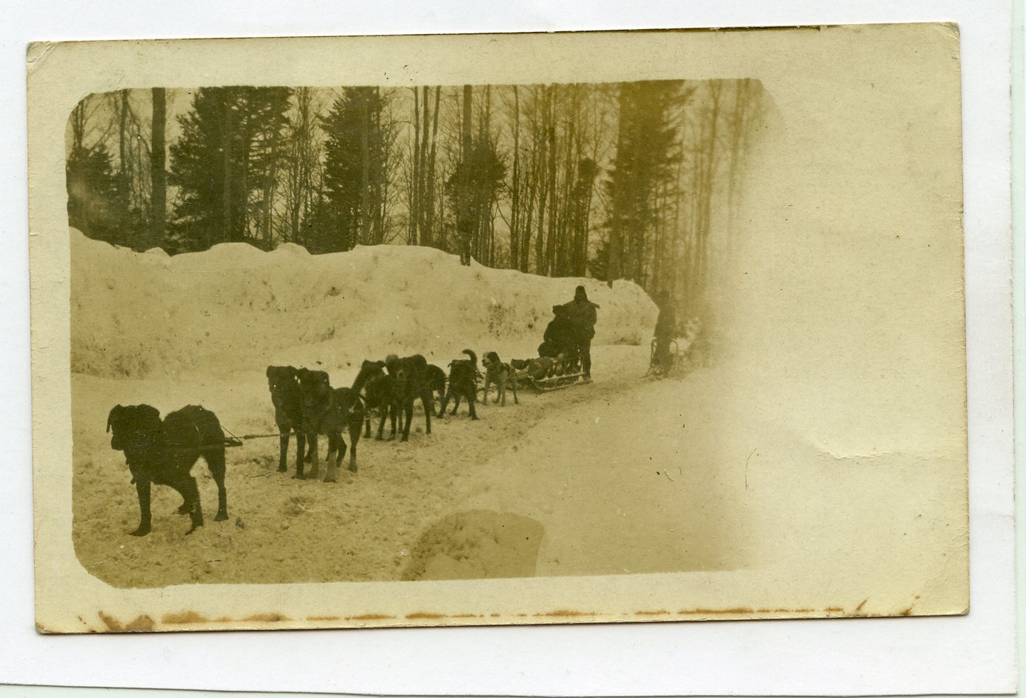 carte photo des traineaux de chiens d'Alaska Vosges chasseurs 1914-1918 4