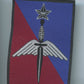 écusson brigade des forces spéciales terre parachutistes
