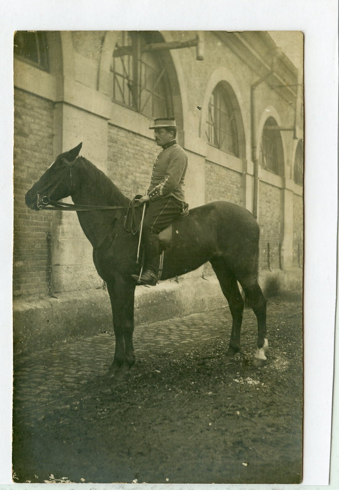 carte photo d'un MDL du 17° chasseurs à cheval, Lunéville, cavalerie 14-18