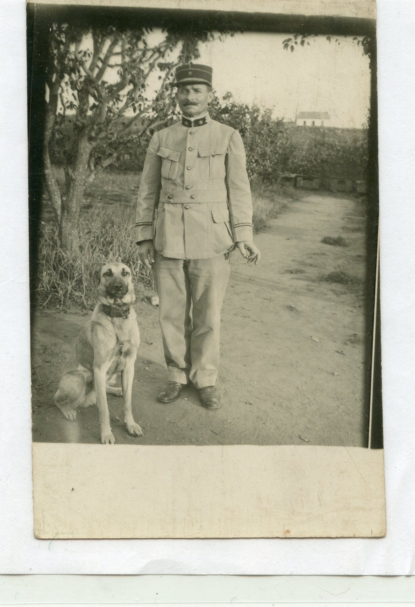 carte photo officier d'intendance 1914-1918