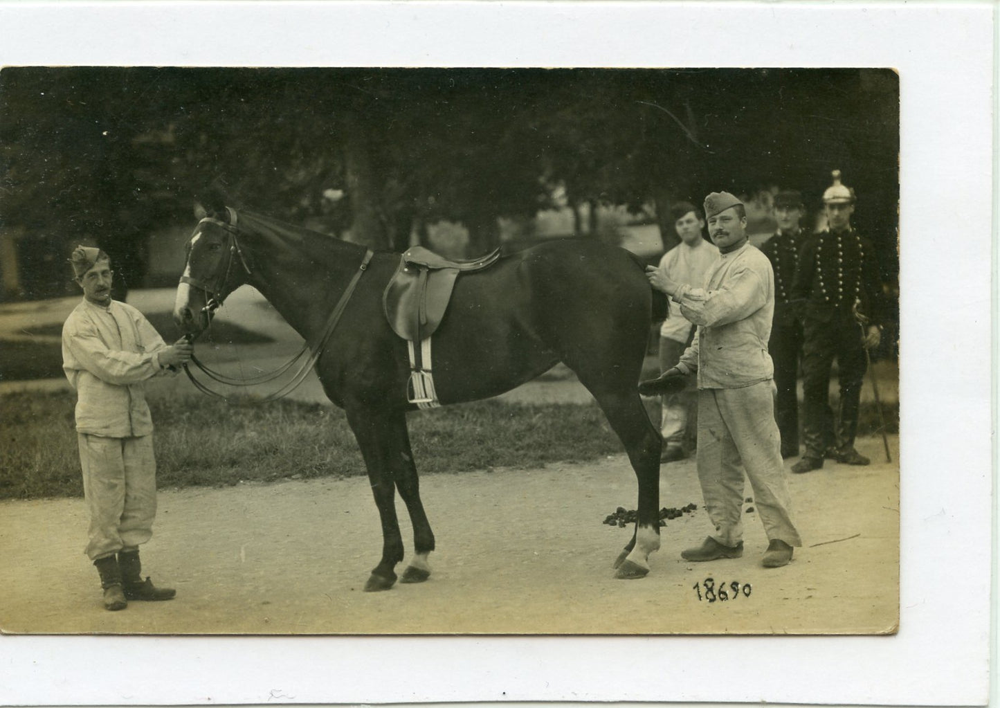 carte photo cavaliers et cheval du 17° chasseurs à cheval 1913, Lunéville, cavalerie